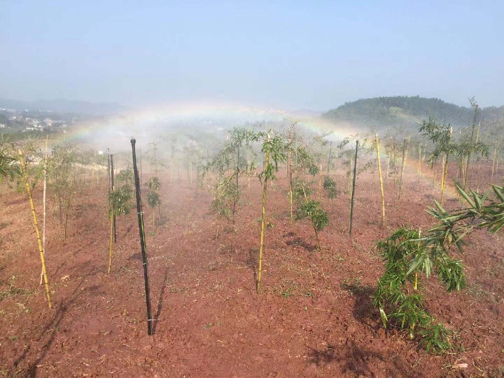 宜賓市南溪區(qū)雷公山噴灌項(xiàng)目